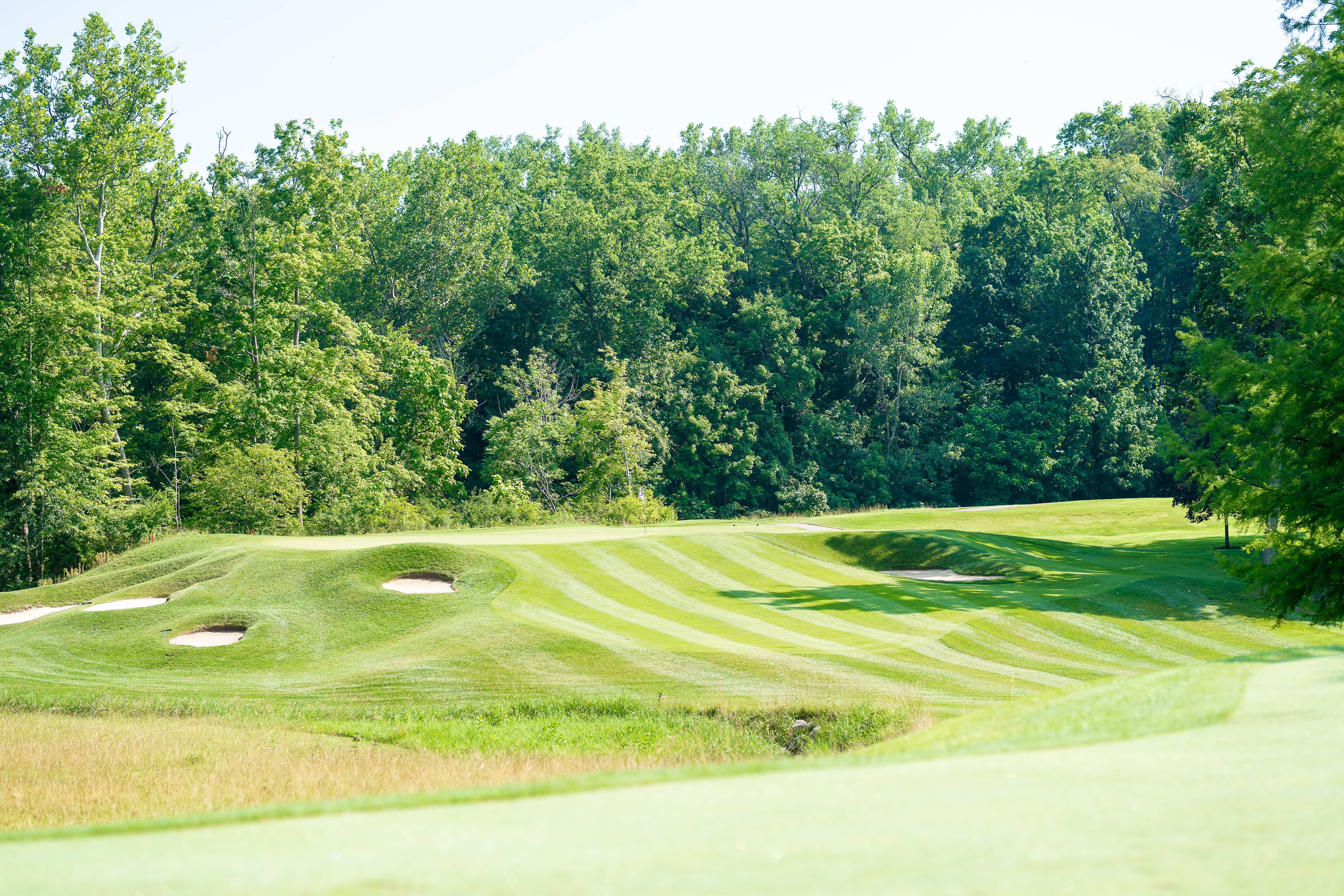 Home - Woodland Country Club